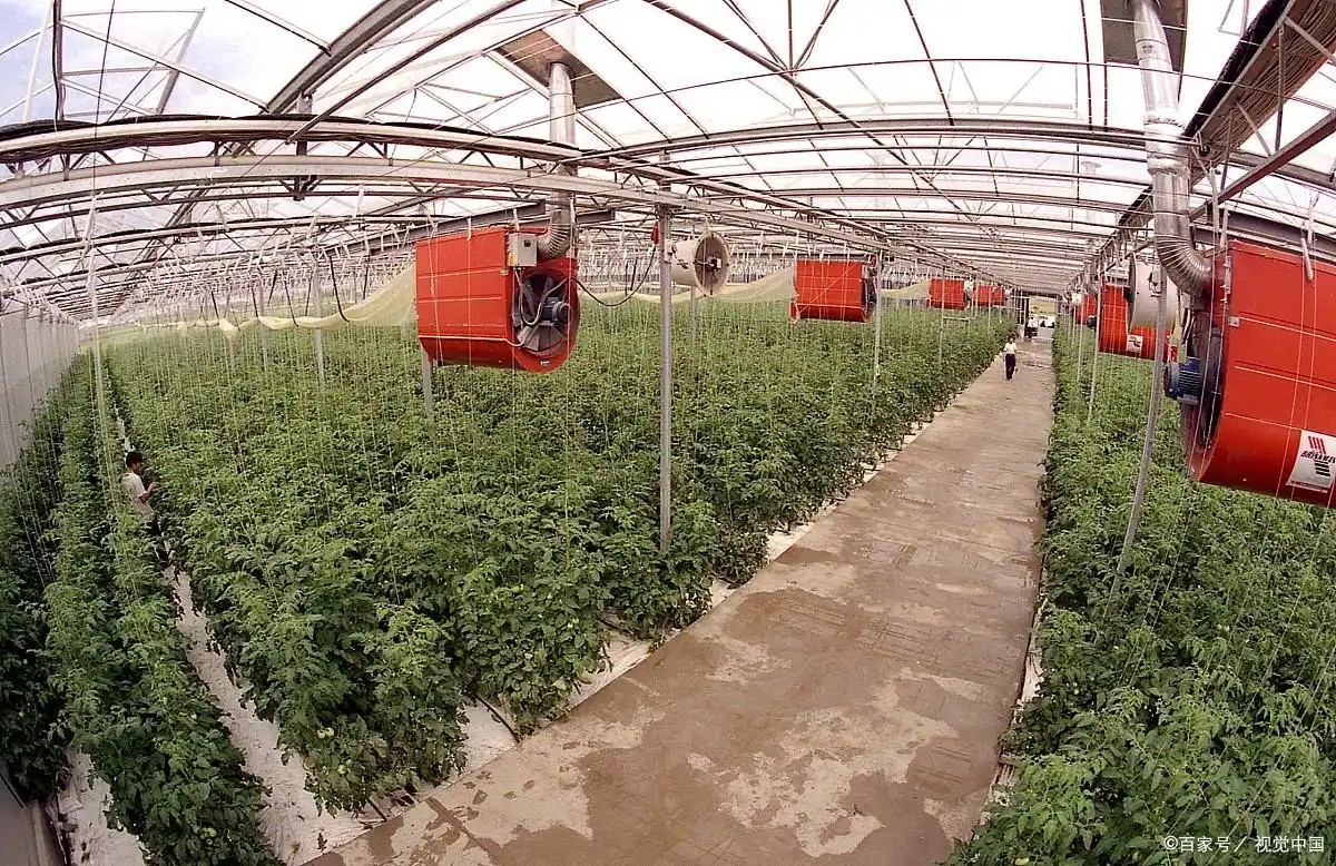 辽宁省农业产业商会：发展现代农业 搭建农业发展共赢平台